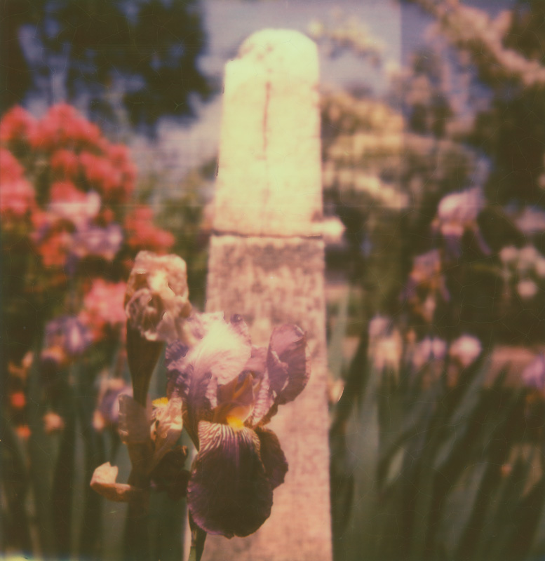 Flowers and Tombstones Flowers and Tombstones