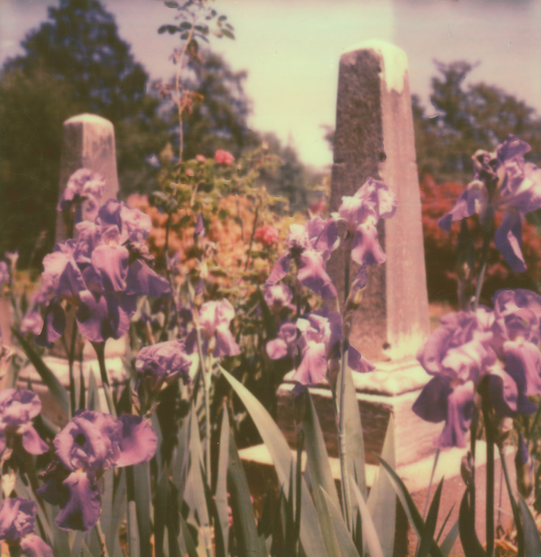 Irises and Monuments