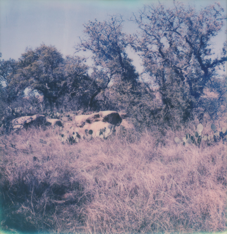 Mellow Nature Mellow Nature