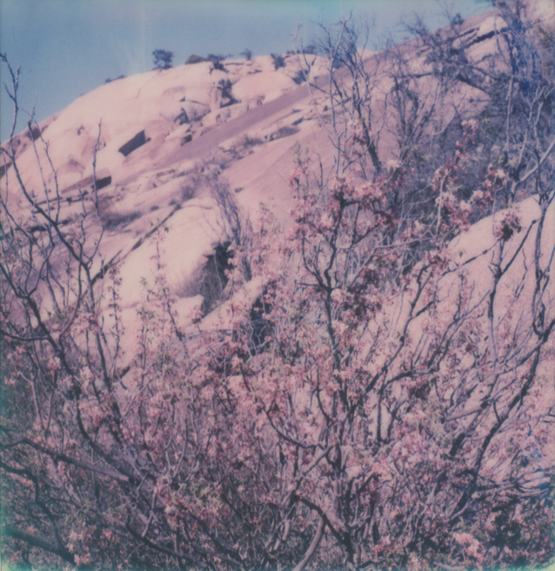Steep Steep